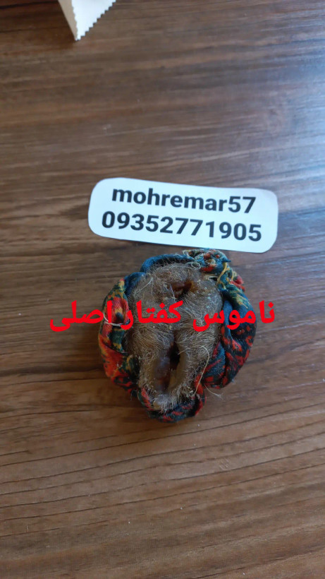 ناموس کفتار