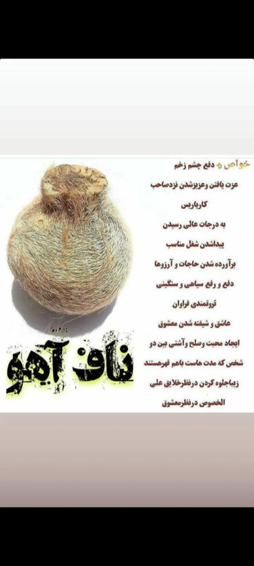 ناف اهو مشک
