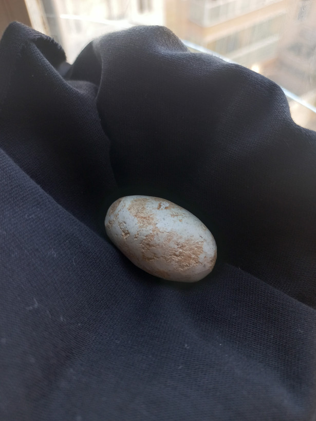 خر مهره مغولی اصل