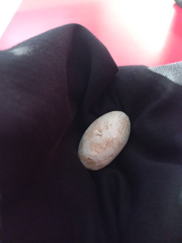 خر مهره مغولی اصل